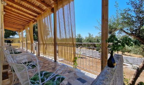 __whatsapp_2024-07-19__13