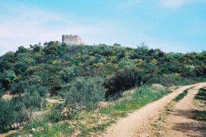 κάστρο Πεταλιδίου